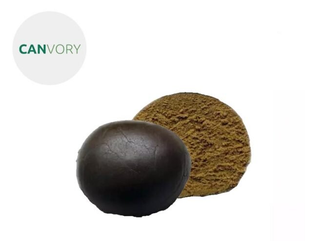 Polline CBD Maroccan Caramello 25% - Canvory