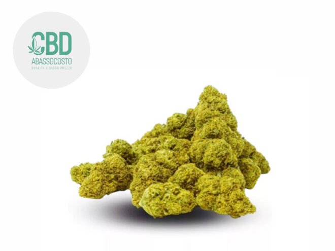 Fruit Cake CBD 17% - Cbdabassocosto