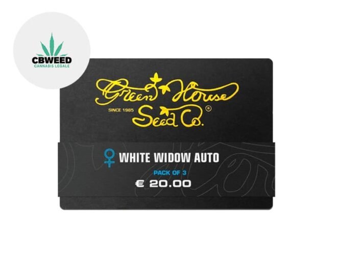 Semi White Widow CBD auto - Green House Seed