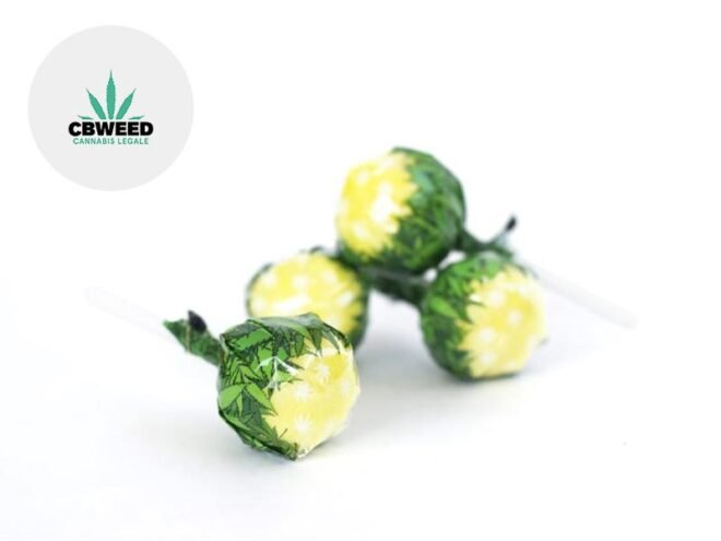 Lollipop Lemon Haze CBD 5% - CBWeed