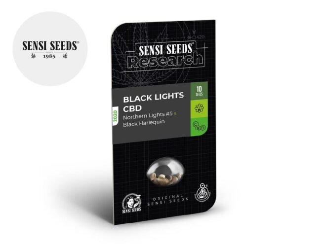 Semi Black Lights CBD auto - Sensi Seeds